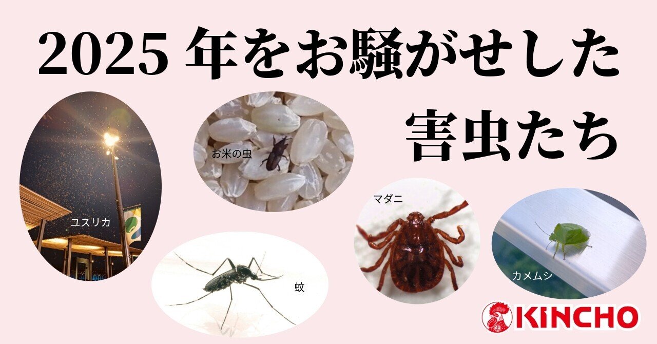 ユスリカ ～大量発生のひみつ｜KINCHO 大日本除虫菊株式会社