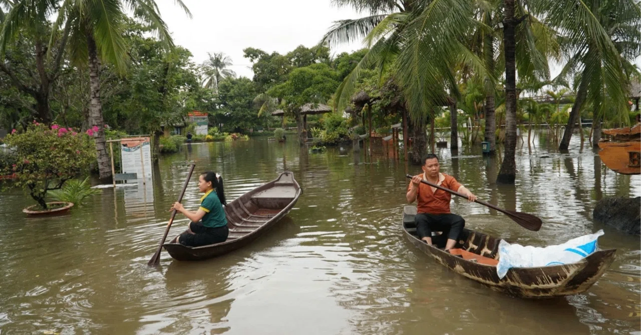 緊急】ホーチミン最悪の洪水年8cmの地盤沈下が投資家を襲う