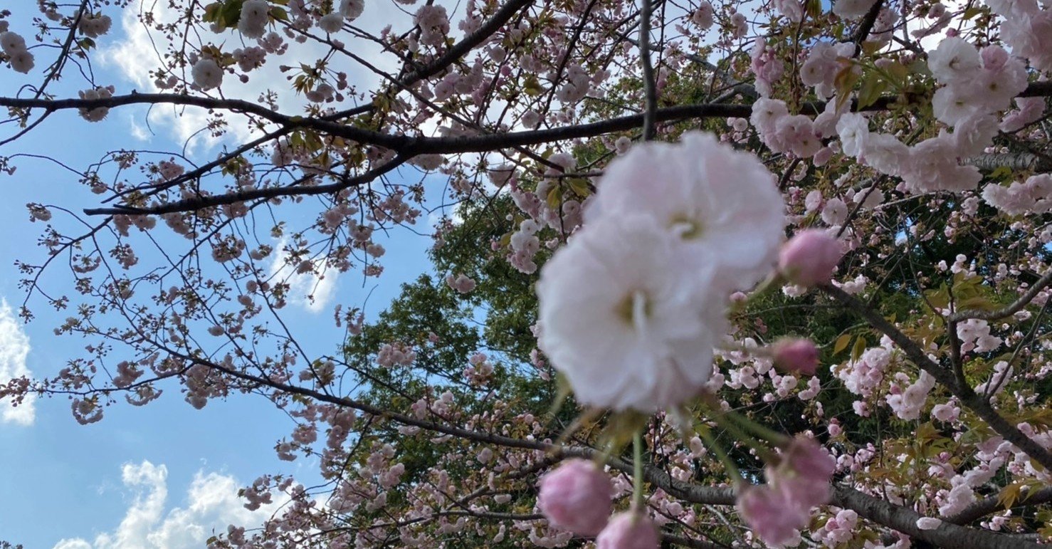 親友 なんて言葉 必要ですか 稲福竜生 Note 親友 なんて言葉 必要ですか 稲福竜生 Note