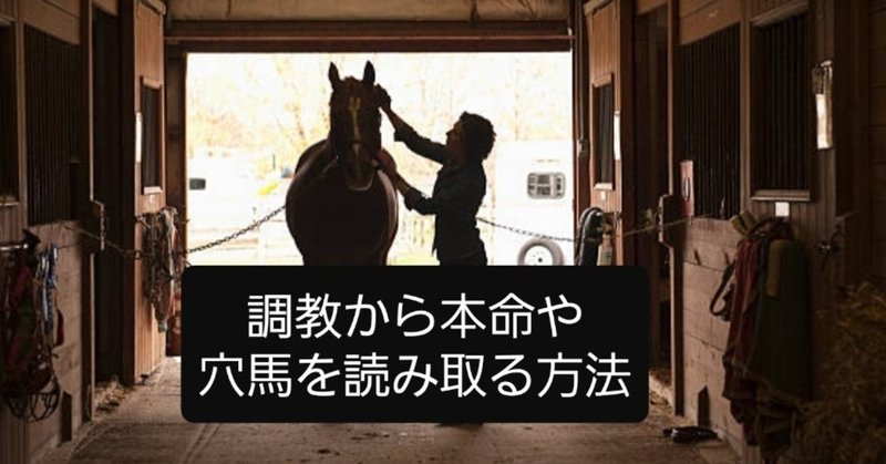 調教から本名や穴馬を読み取る方法