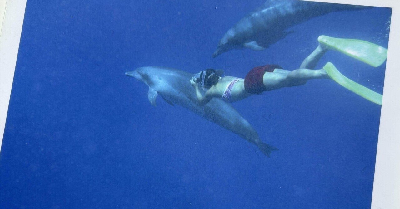 普通に就活失敗して、普通にリゾートバイトに行きました eyecatch