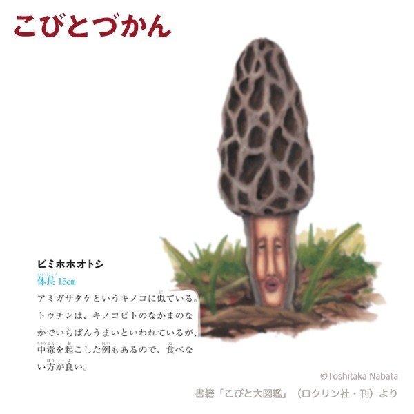 1日1コビト紹介 ビミホホオトシ こびとづかん公式note Note 1日1コビト紹介 ビミホホオトシ こびとづかん公式note Note