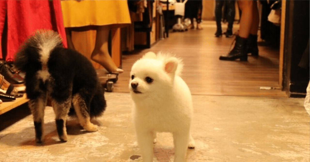 その強さ計り知れない！！S級ヒーロー番犬マンの正体を考察！！｜show