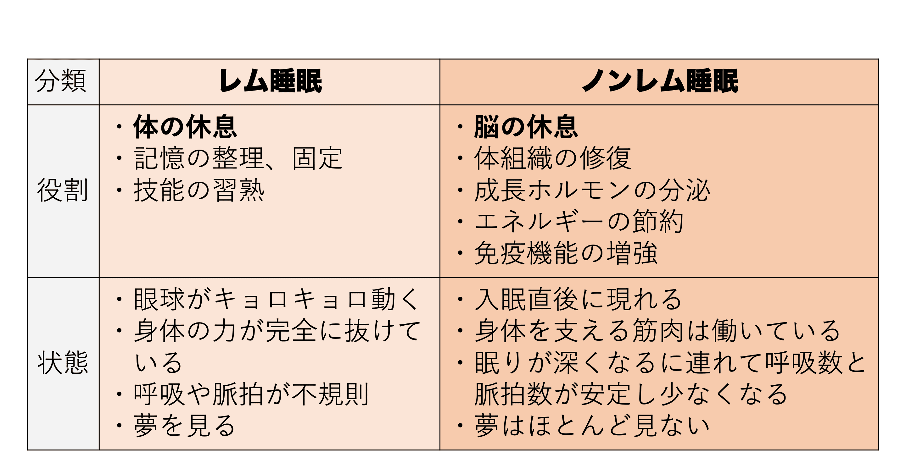 睡眠は何のためにある アレルギーとたたかう理学療法士 及川文宏 Note