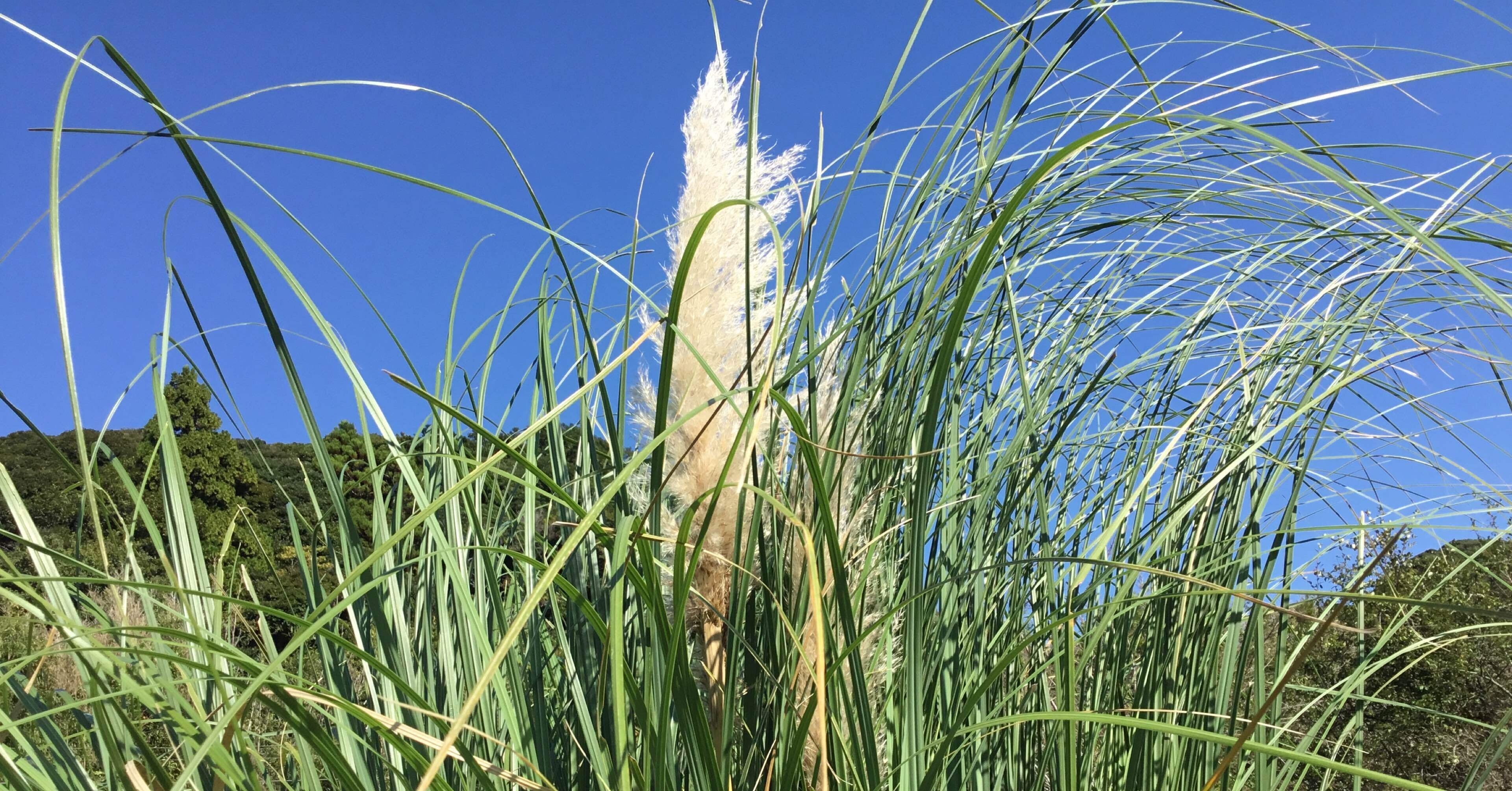 6f4716d58c09a07ca6aebaf8318ce7