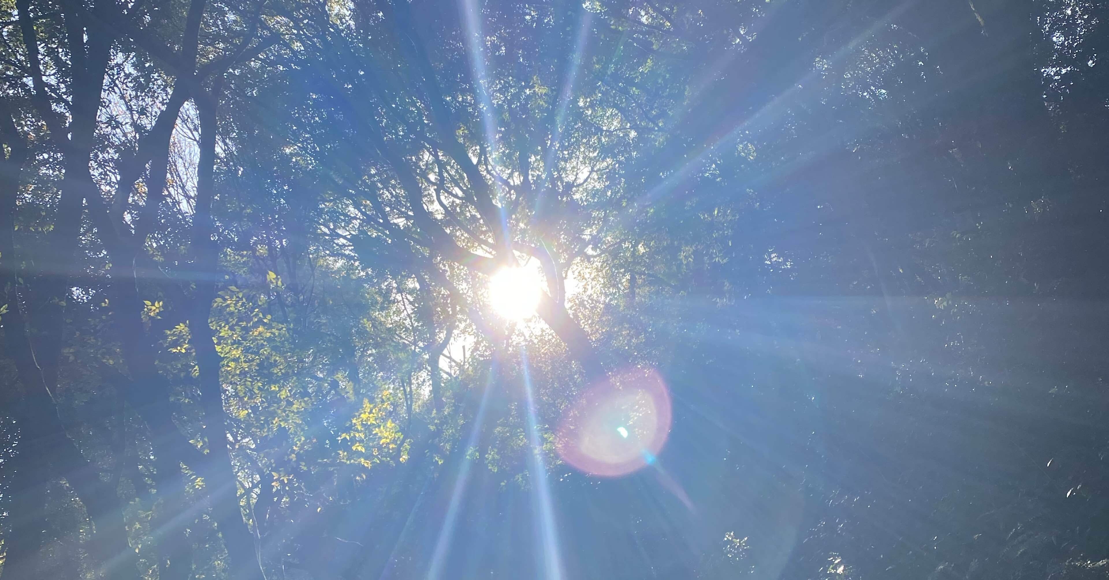 津留晃一さんの世界｜よーこ