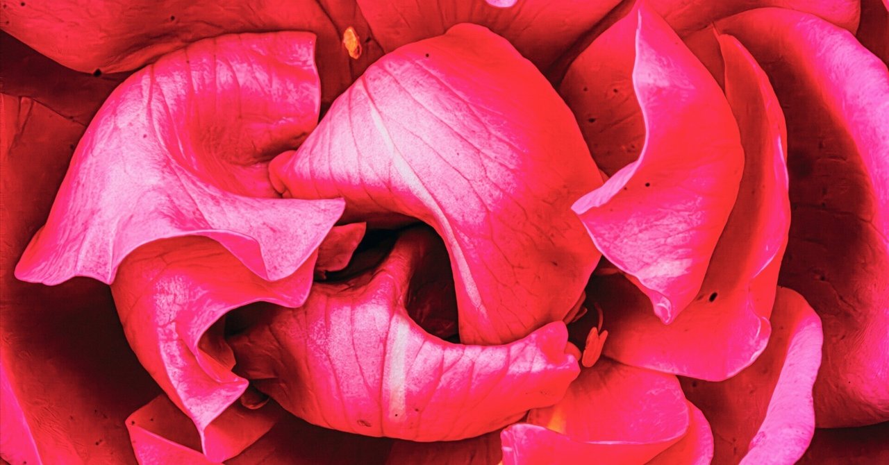 愛は荒野に咲く薔薇の花｜どいしゅんすけ