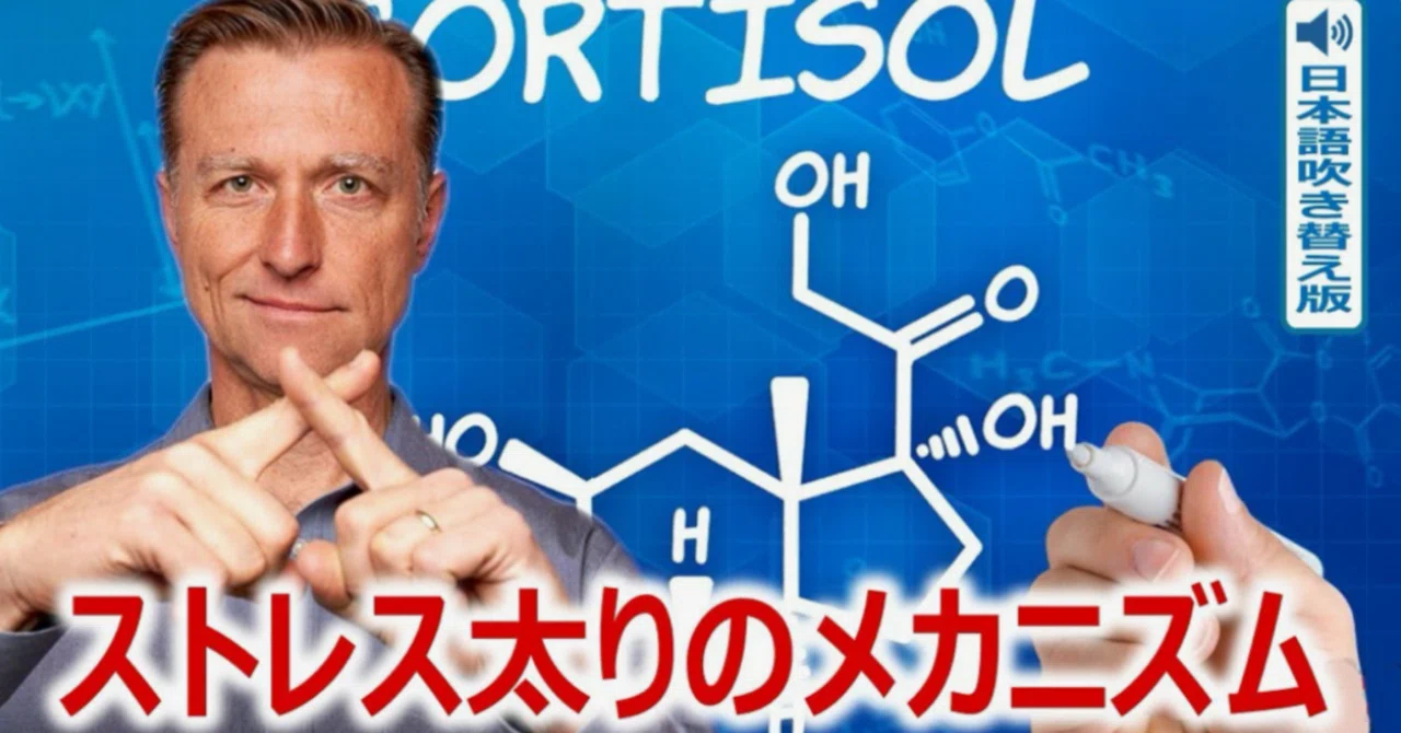 最新｜ストレス太りのメカニズム ― ストレスでお腹に脂肪がつく理由｜ドクター・バーグ