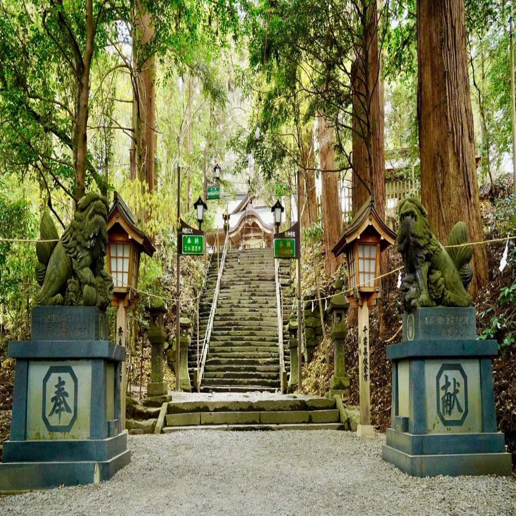 0543 初代天皇の父・降臨の神々夫婦をまつる「高千穂神社」（宮崎県