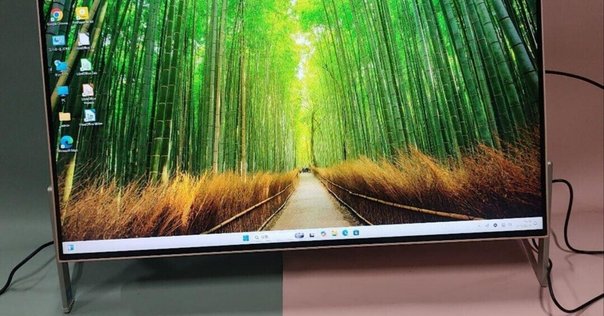 新品 富士通 ノートパソコン FMV Lite WA1/J2 2025年製 富士通 WEB