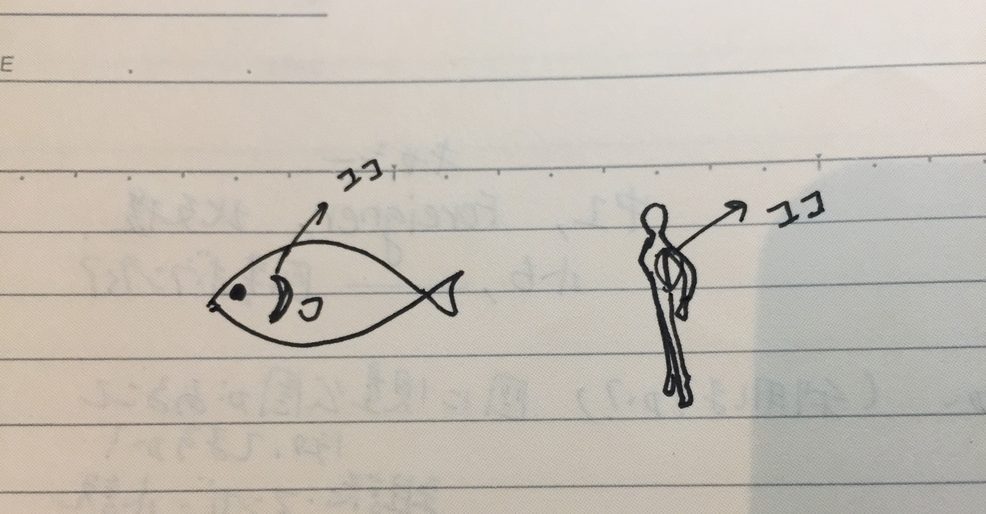 わきでエラ呼吸しなさい Ayuko Note