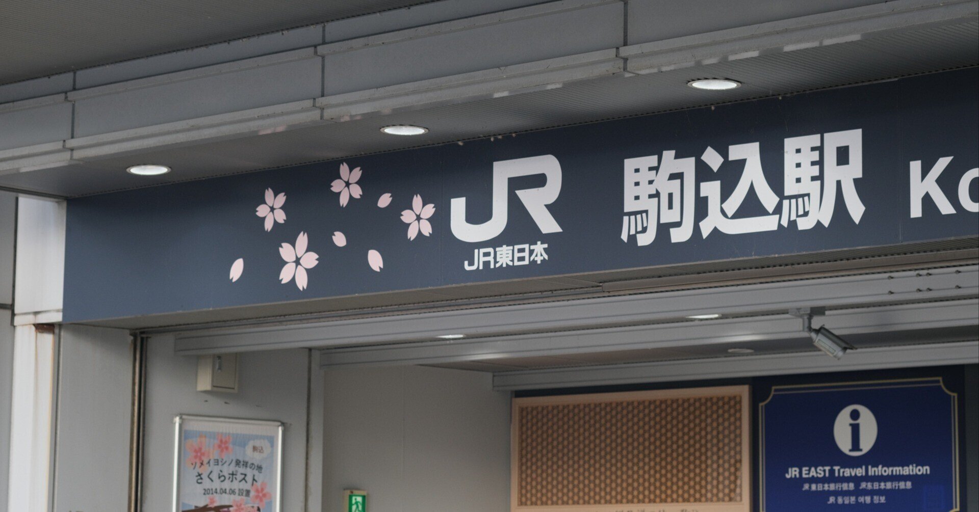 染井吉野桜発祥の里(東京都豊島区)|堀さと 染井吉野桜発祥の里(東京都豊島区)|堀さと