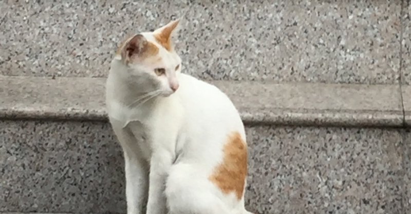 東大世界史19第1問解説 普通の東大生 ねこ Note