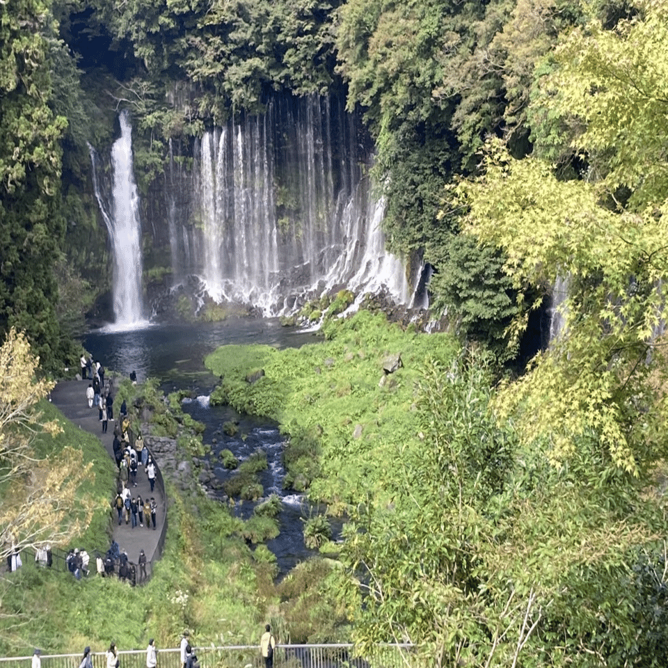 白糸の滝 階段110段〜富士ミルクランド〜田貫湖｜さとうけいこ