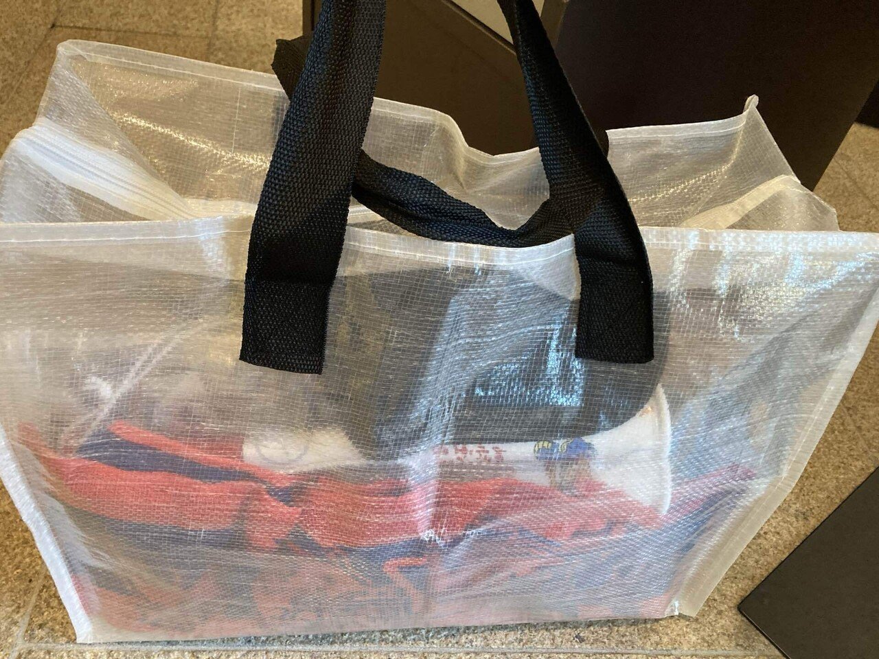 2025.10.26 ドラフェニ甲子園｜おはなぼう