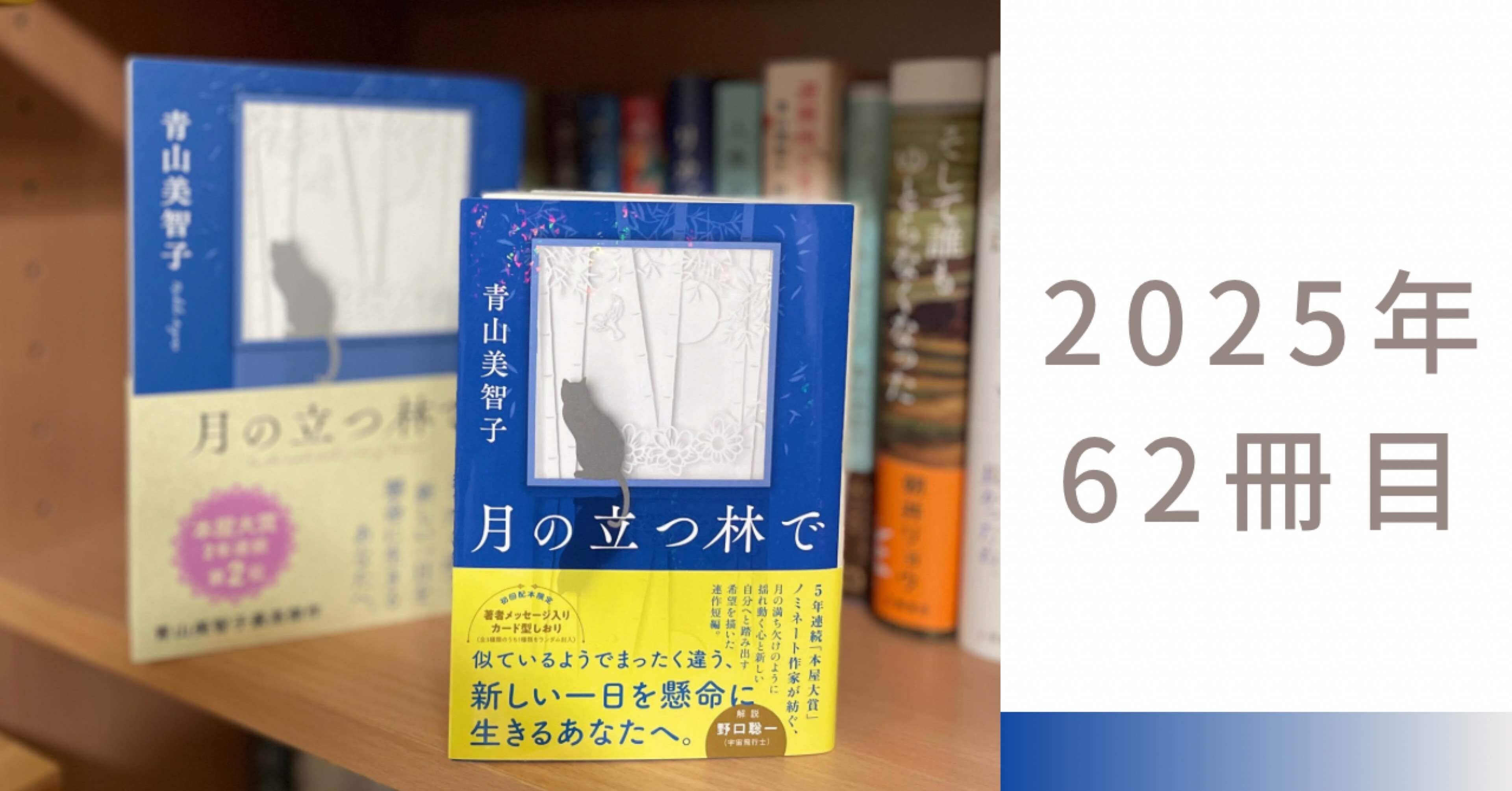 青山美智子『月の立つ林で』――夜空とポッドキャストと、やさしい言葉