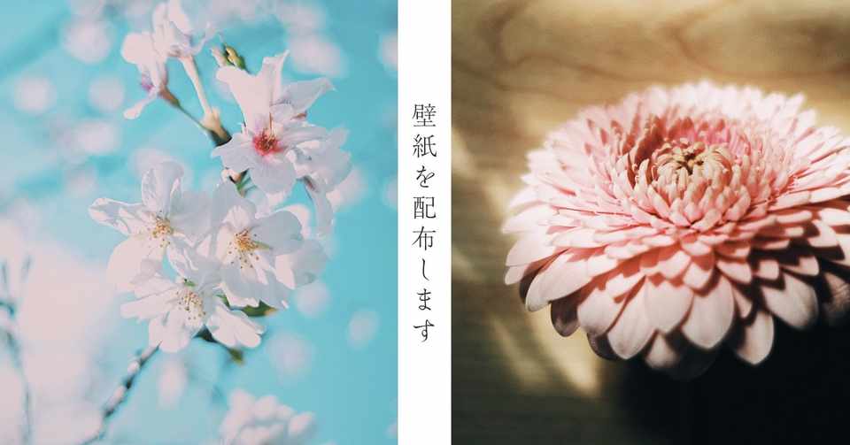 配布します パソコンの壁紙 Zoom背景でお家暮らしを楽しもう Nayo 旅好きデザイナー イラストレーター Note