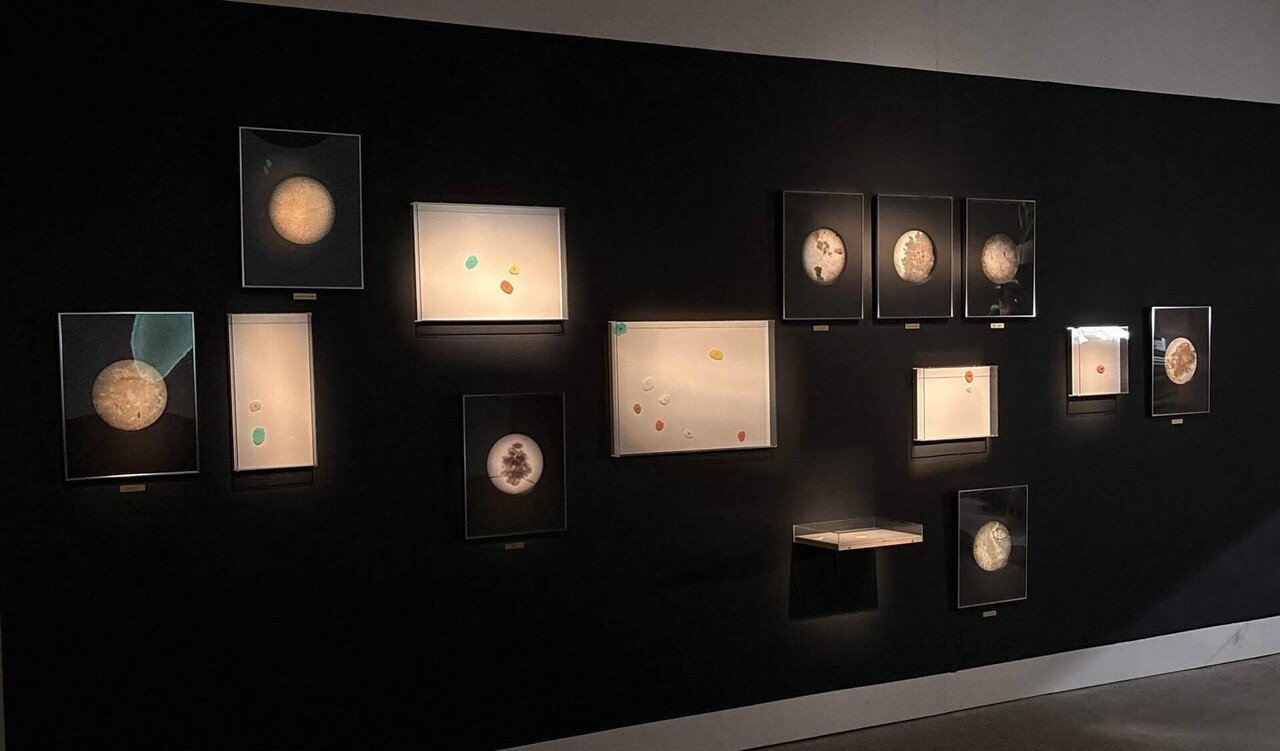 🕳️ アート展「穴の中の穴の中の穴」妄想解釈！Chim↑Pom from Smappa