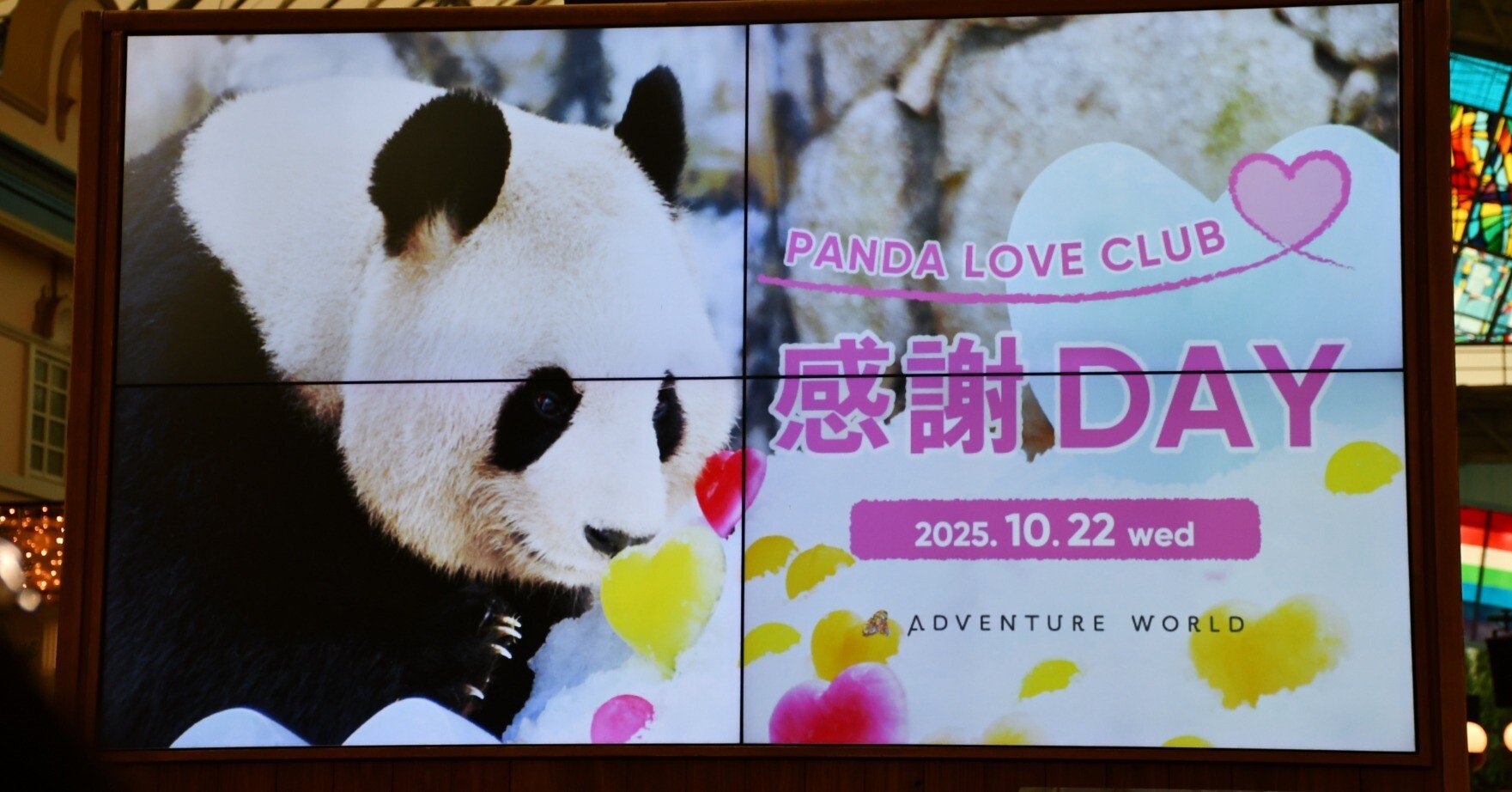 PANDA LOVE CLUB🩷感謝DAY ADVENTURE WORLD🎡｜りこひん