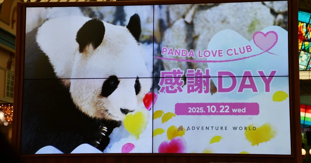 パンダLOVE PANDA LOVE CLUB🩷感謝DAY ADVENTURE WORLD🎡｜りこひん