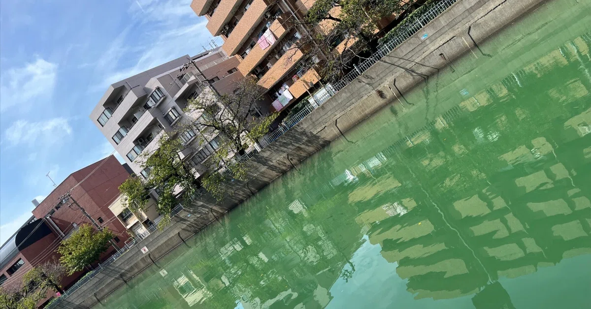 èŠåºãç»å