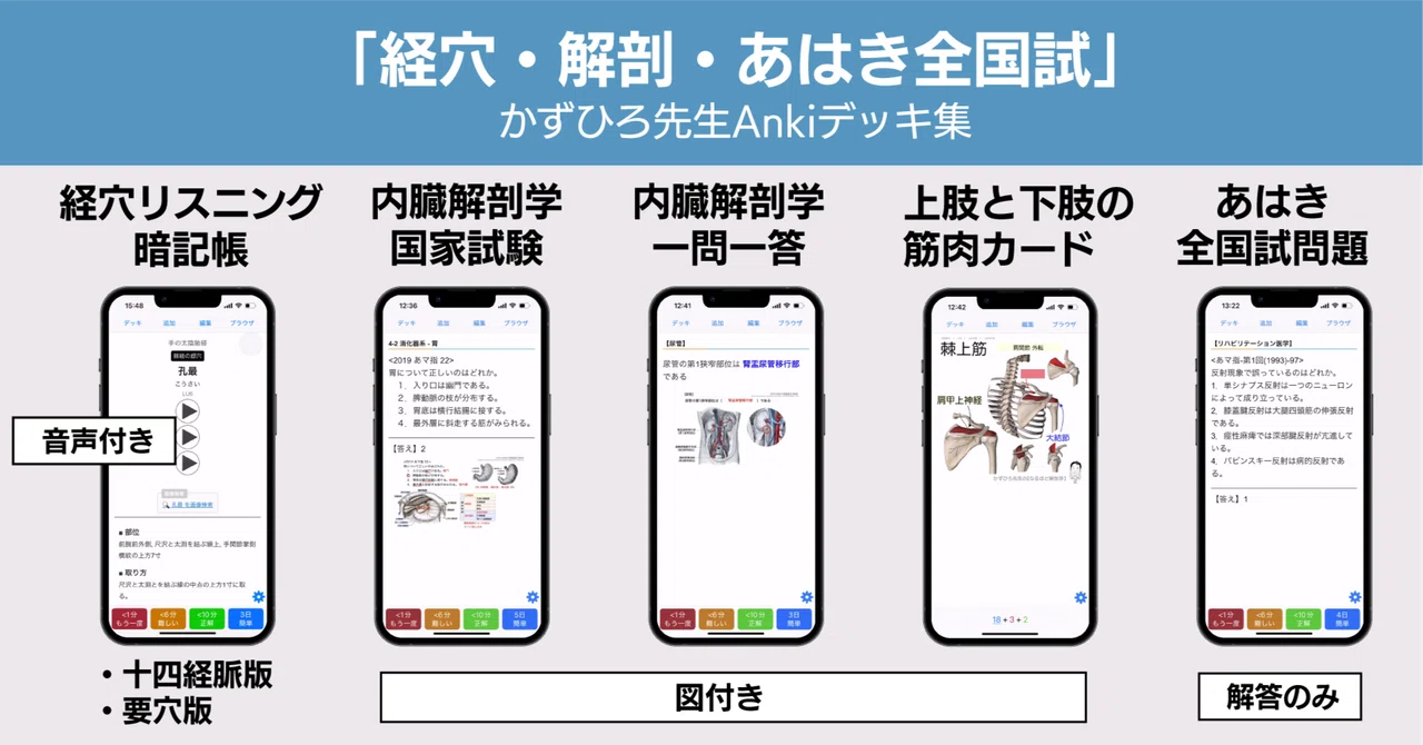 かずひろ先生 Ankiセット（経穴×解剖×臨床医学各論×あはき国試全問題