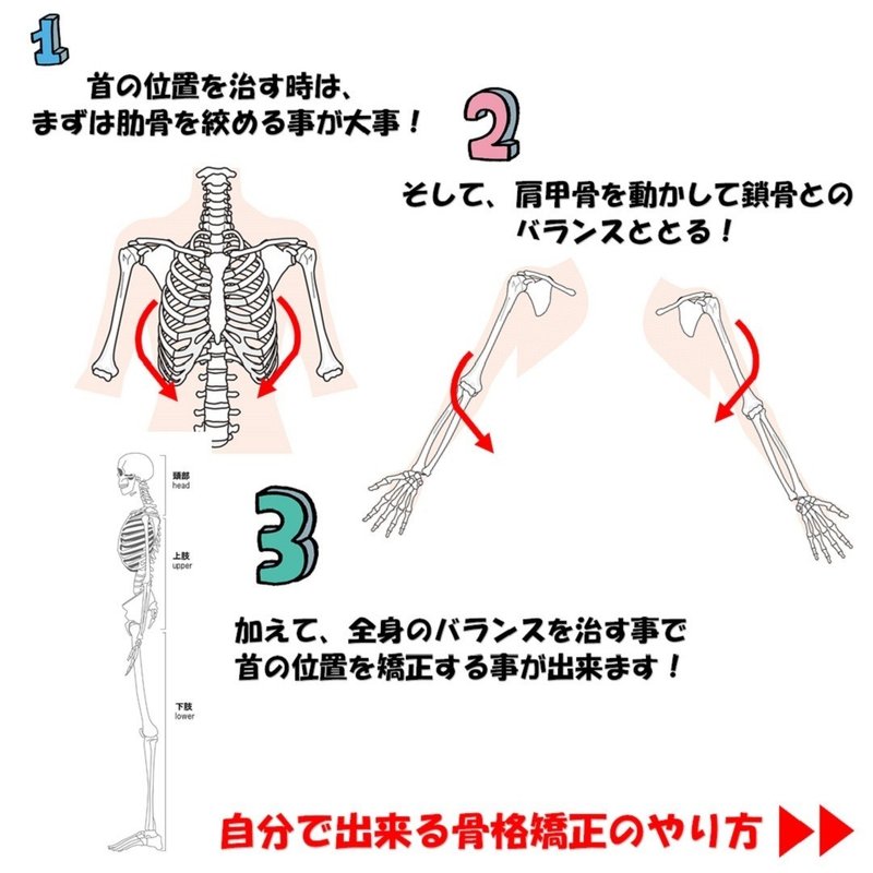 首の後ろのお肉をとる骨格矯正の秘密 Revisionginza Note