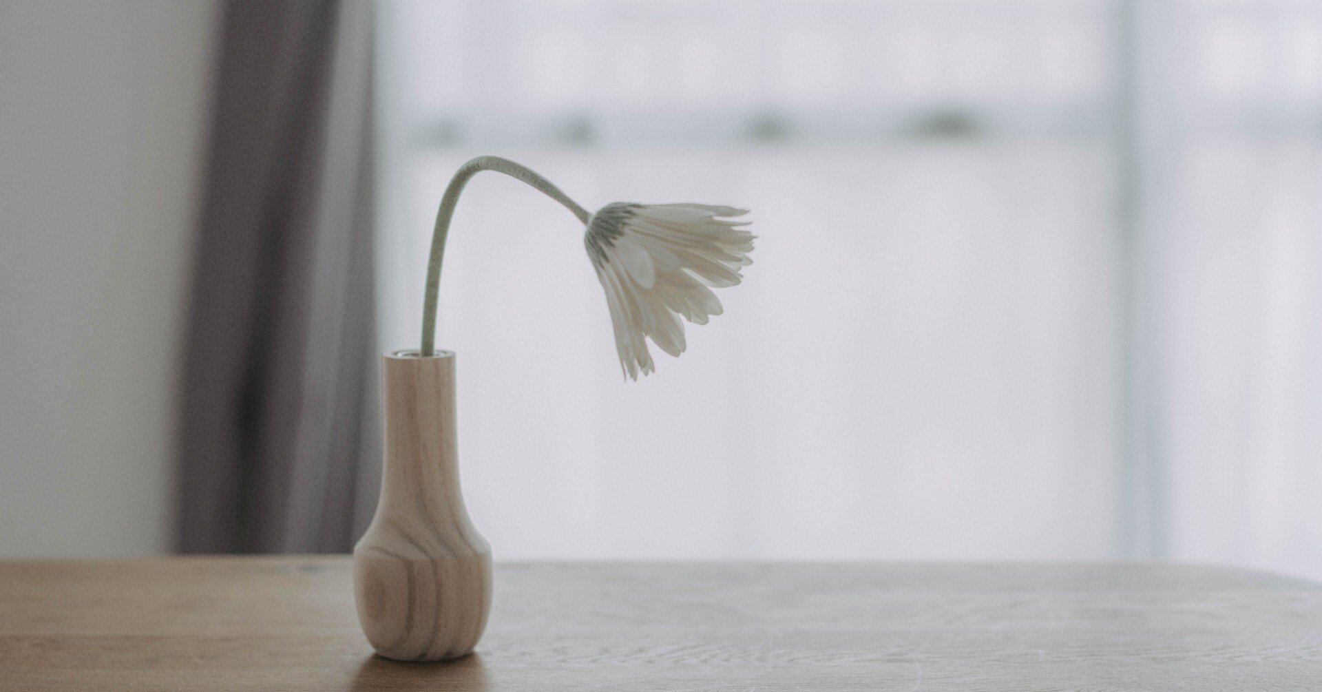 ポートレート写真展「前代未聞展」の振り返り｜カズノ(camera)