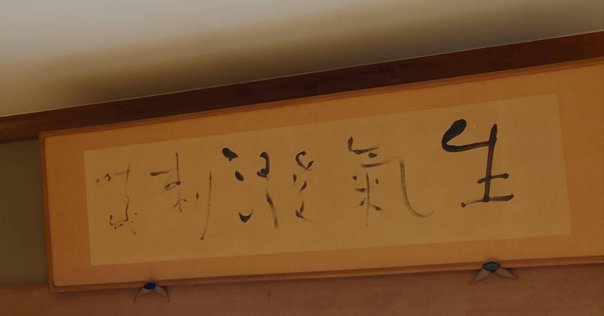 動きを深める読書ガイド-二人の野口先生編｜北川貴英 Taka, Systema Tokyo