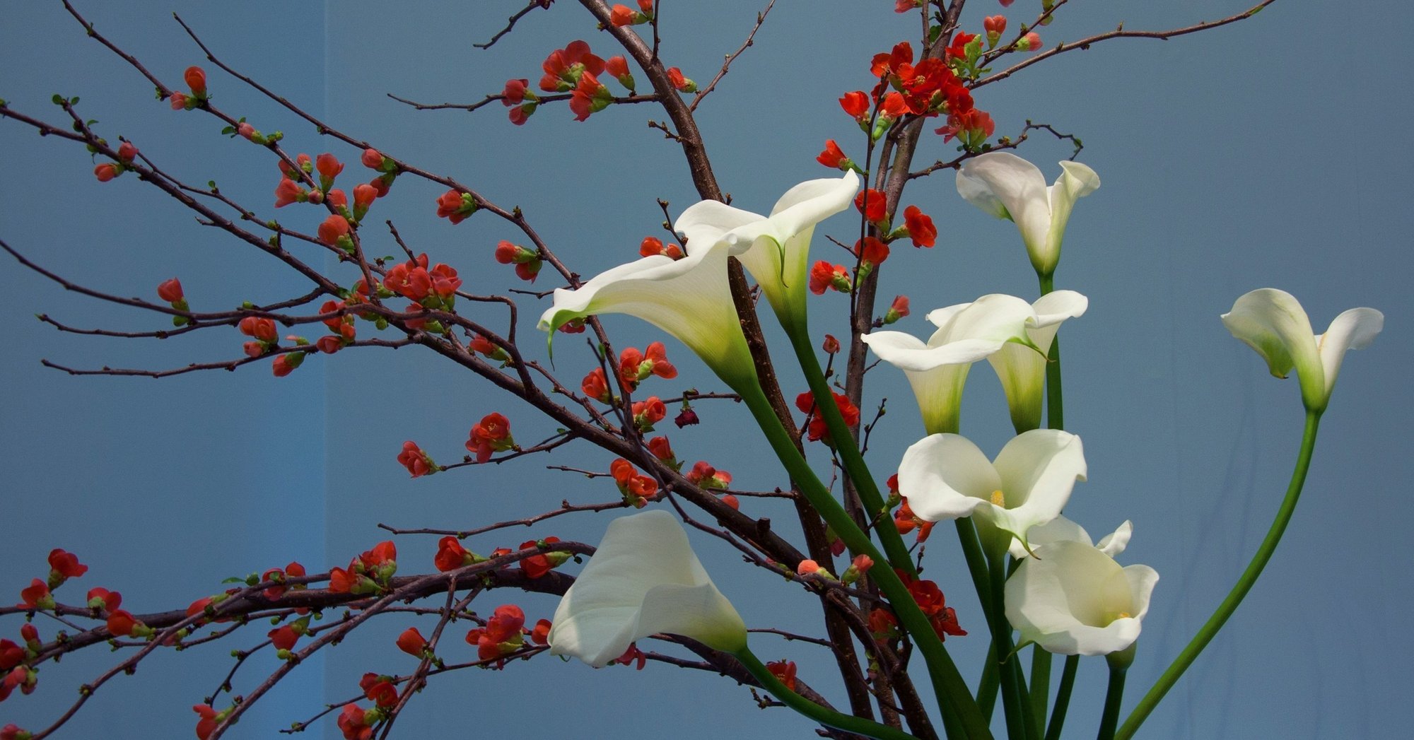 捨てるセンスを磨く 好き嫌いを意識することから ぜんぶ すてれば 無料公開 8 ディスカヴァー トゥエンティワン Note 捨てるセンスを磨く 好き嫌いを意識することから ぜんぶ すてれば 無料公開 8 ディスカヴァー トゥエンティワン Note