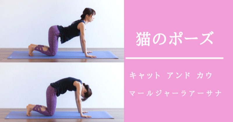 ヨガポーズ 背中と腰のこわばりをほぐす猫のポーズのやり方 モリエアサヒ Note