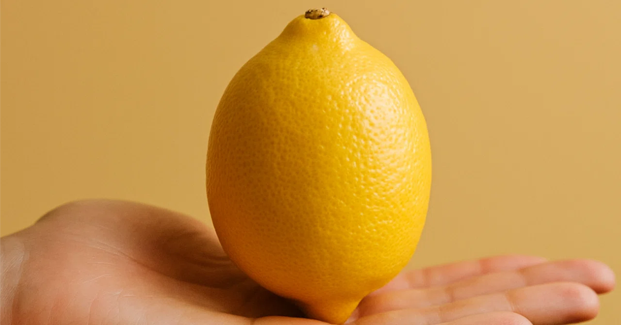 Reading ①: Lemon by Motojiro Kajii｜店じまい