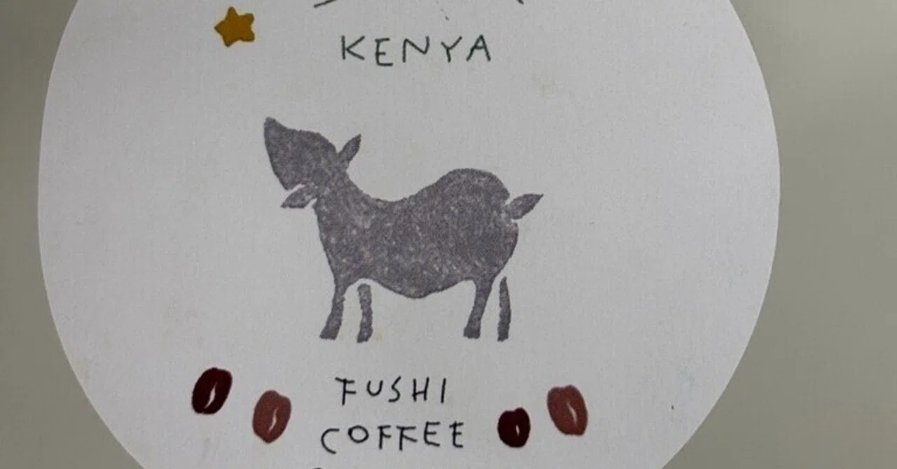 Timemore B75 Fushi Coffee Kenya Washed｜PECOFFEE