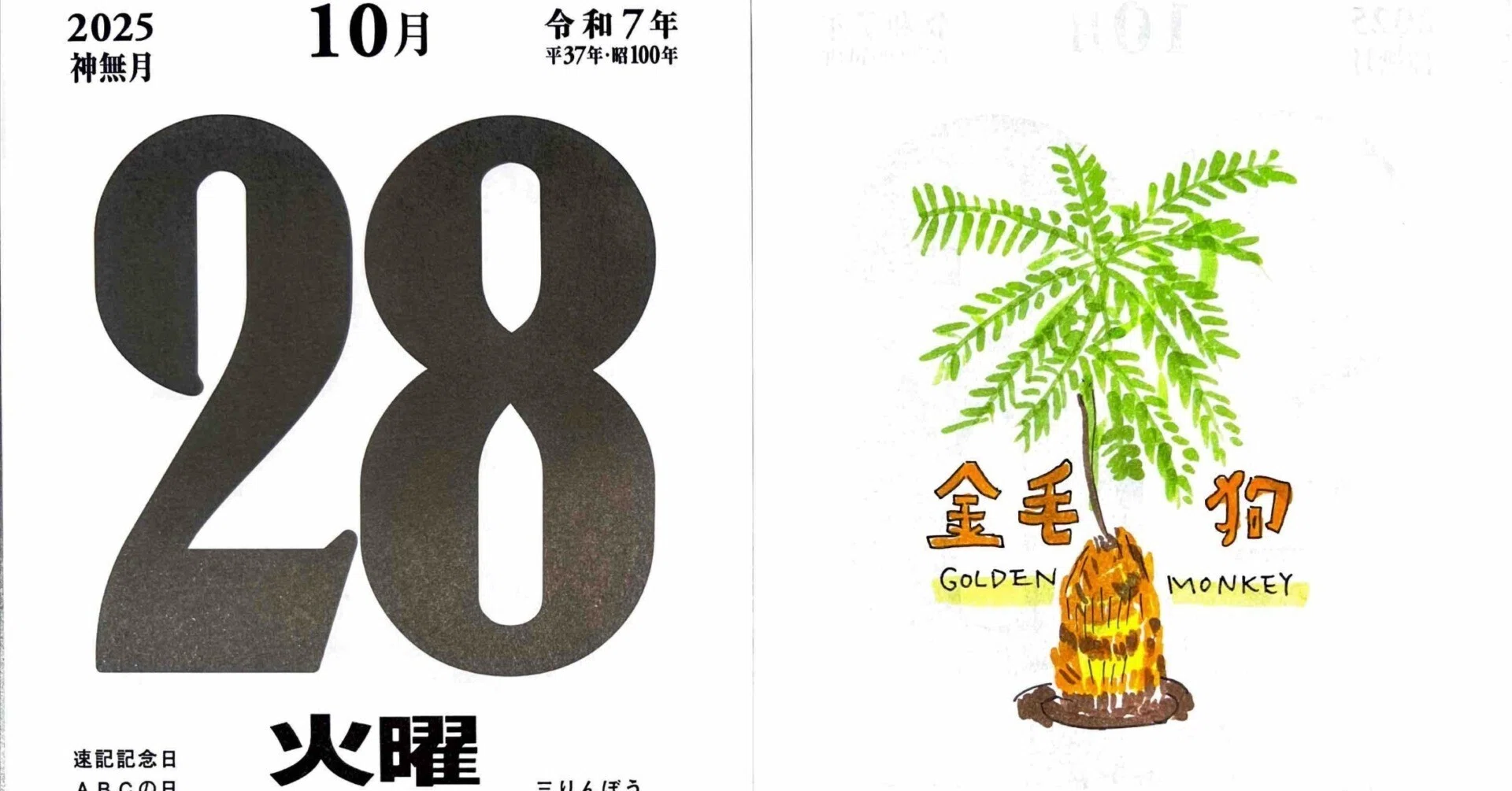 キンモウコウ（金毛狗）がやってきた｜himekuri365