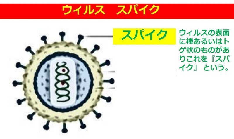 コメント 2020-04-09 163856