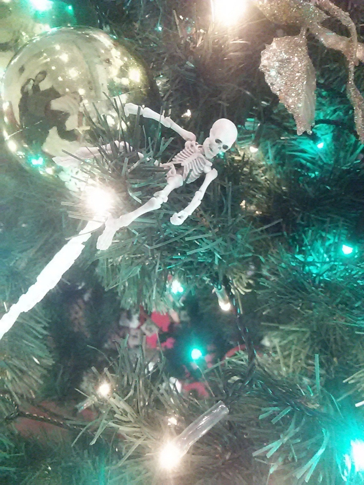 クリスマスツリーと戯れよう Kataoka Note