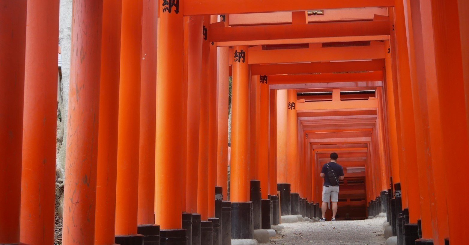 初中級者が解くべき過去問精選 100 問を全問解いてみました｜Kenta