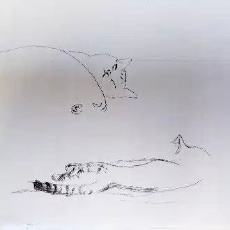 浦上ありさ