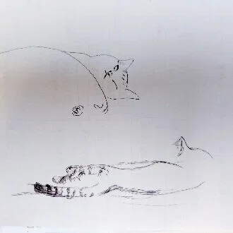 浦上ありさ