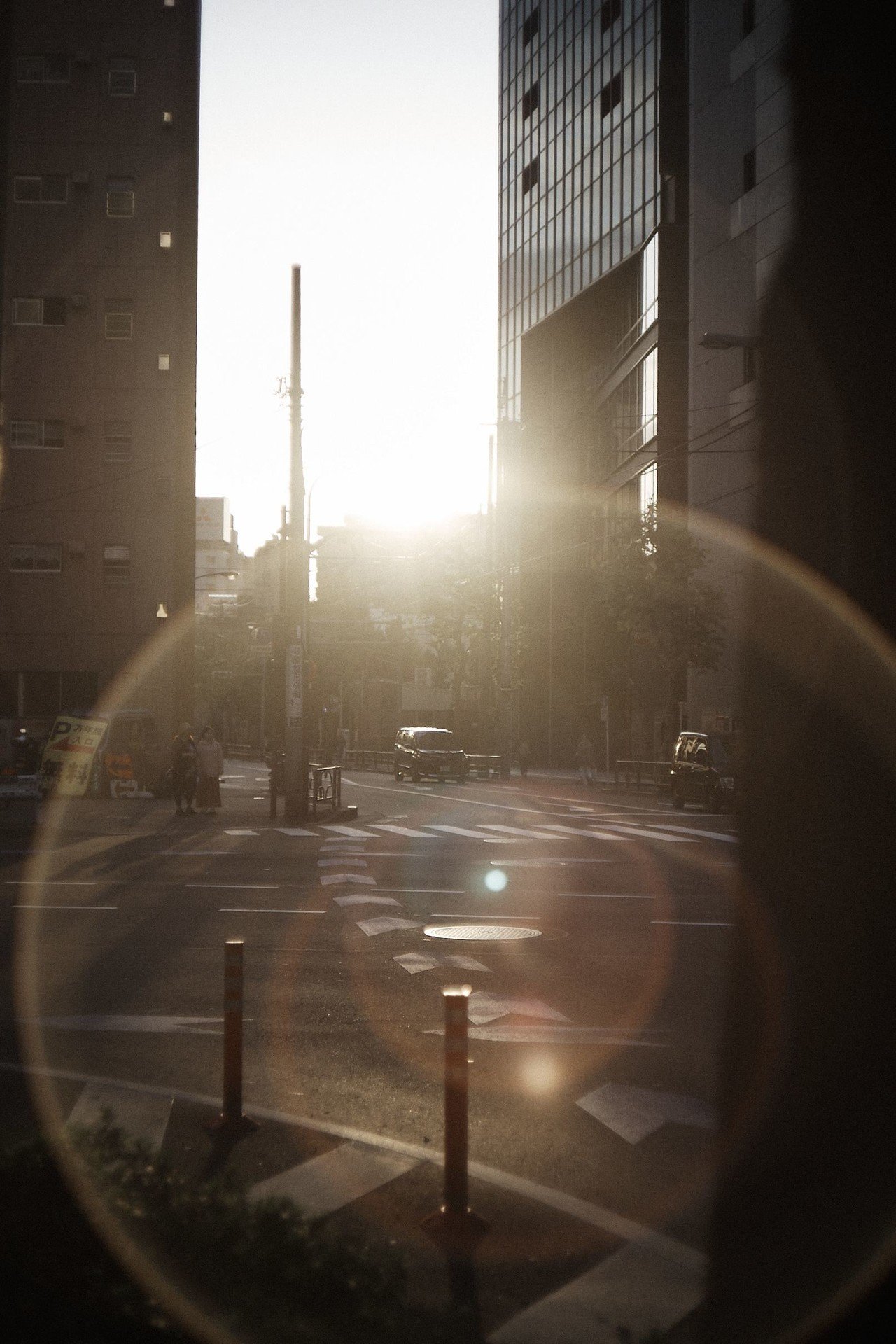 365日ライカ：020 ズミクロン50mm 1st 沈胴レビュー｜#365leica