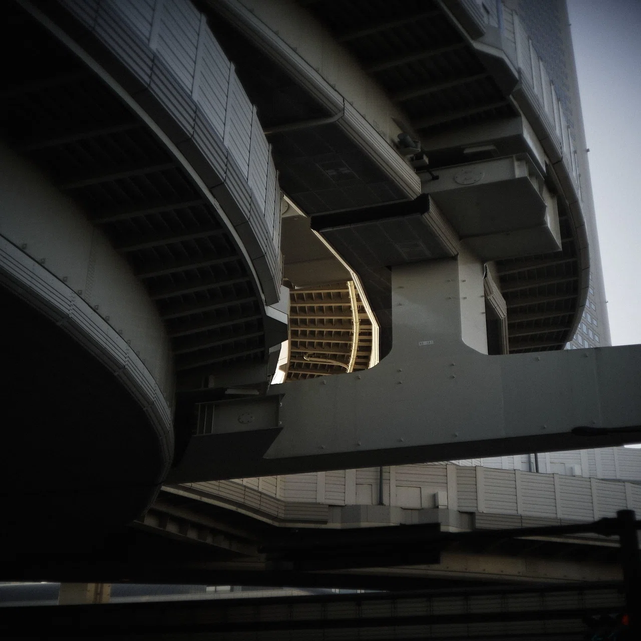 365日ライカ：020 ズミクロン50mm 1st 沈胴レビュー｜#365leica