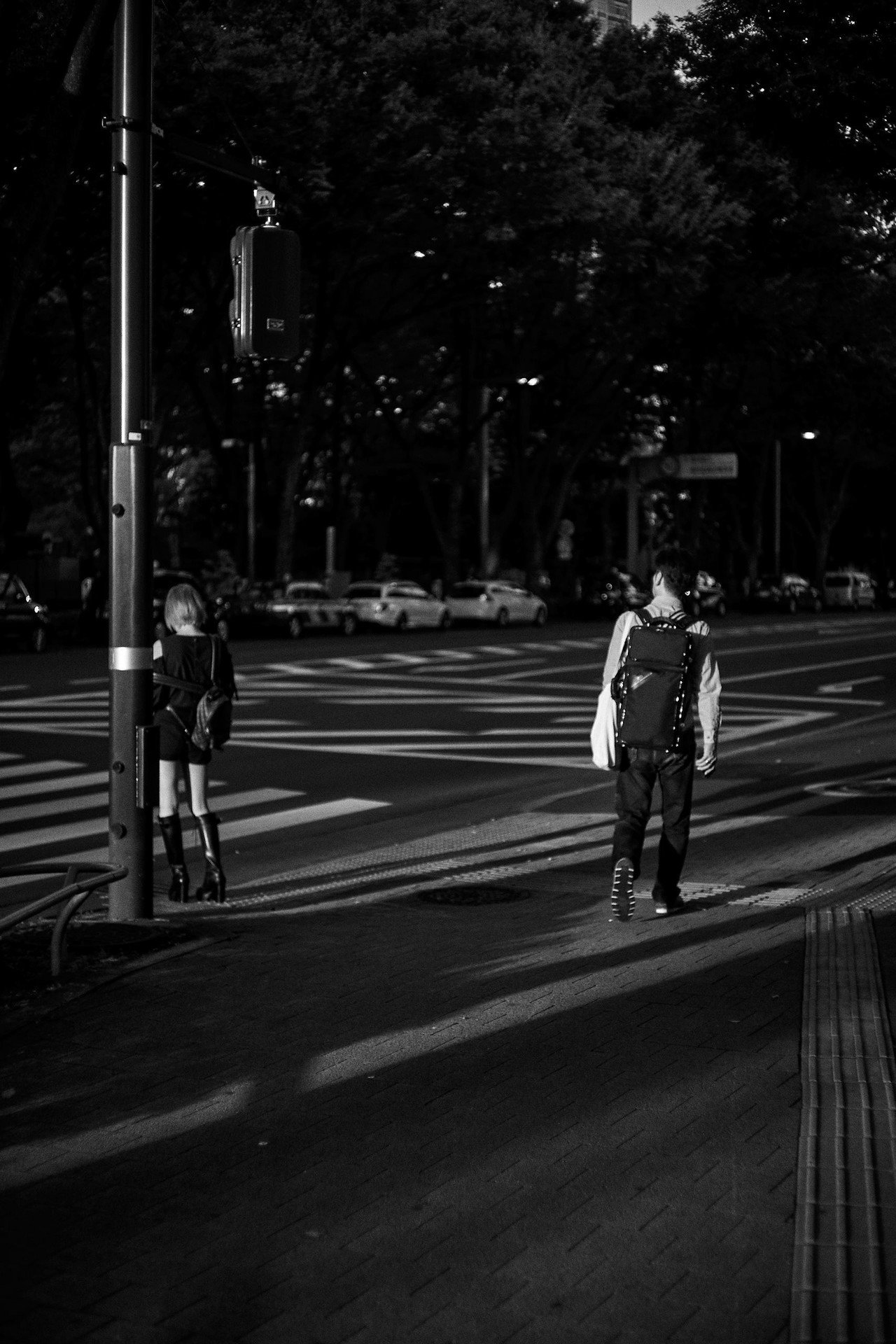 Leica Summicron M 50mm f2 1st 沈胴 作例あり Leica Summicron 50mm f2 （沈胴ズミクロン、山崎磨き