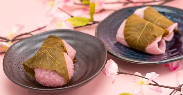 24 さくら餅を楽しもう｜とも＠リアル＆オンライン通訳ガイド