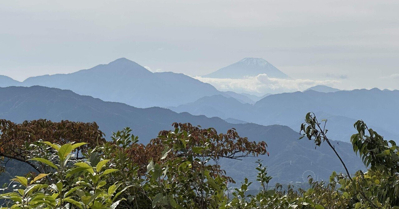 たかこ】モビール6点 ❤︎鶴/富士山/梅/松❤︎クジラ❤︎お月見