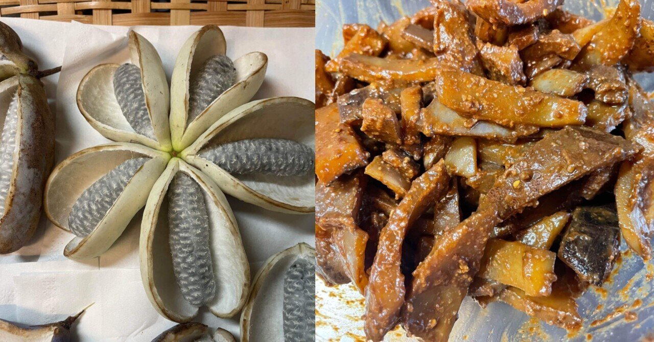 採取した野生のアケビの皮を今度は胡麻味噌和えにした。 〈2025年10月