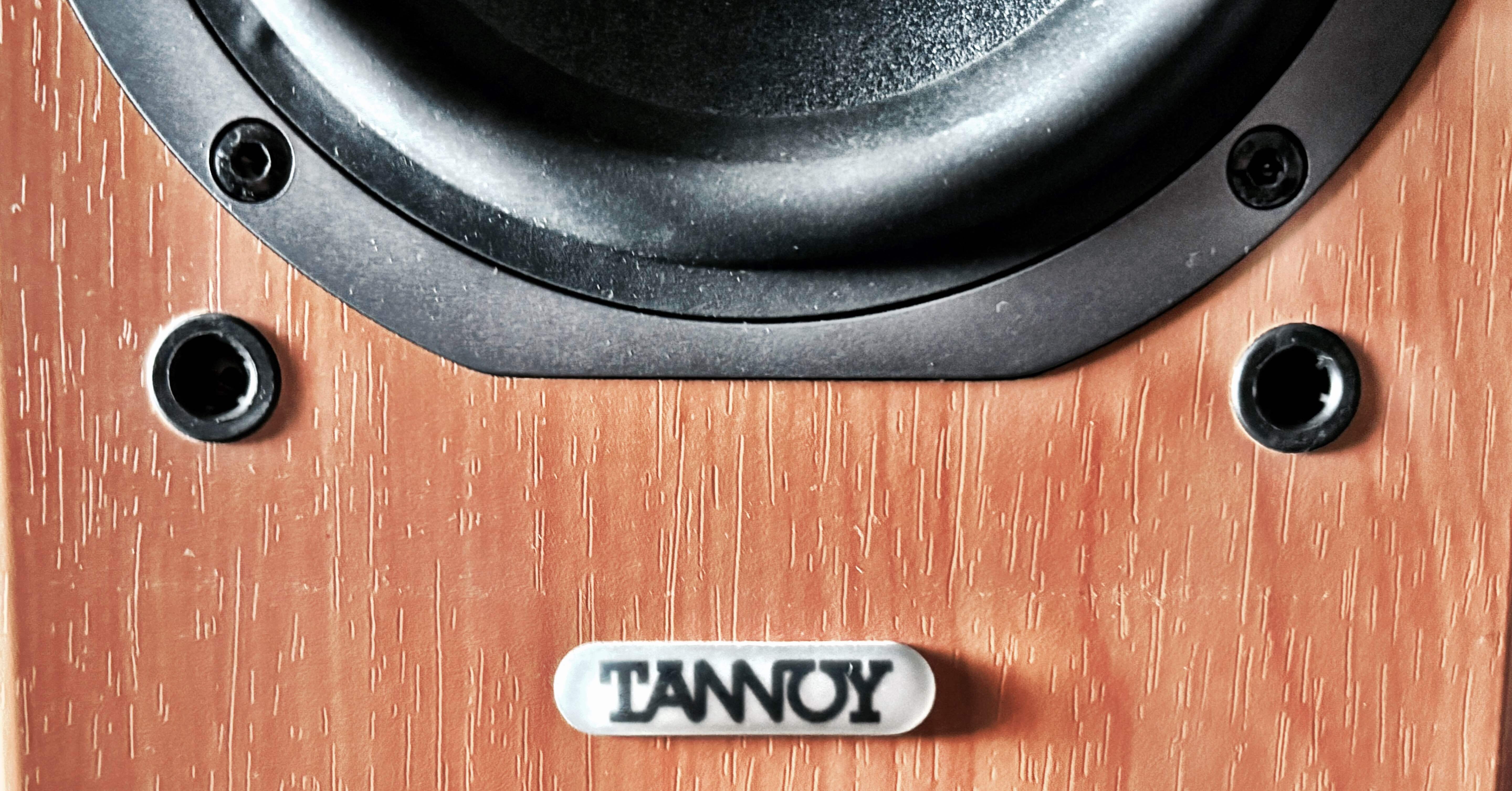 TANNOYらしさ」が詰まった1本──Mercury mX-1M、20年越しの再評価