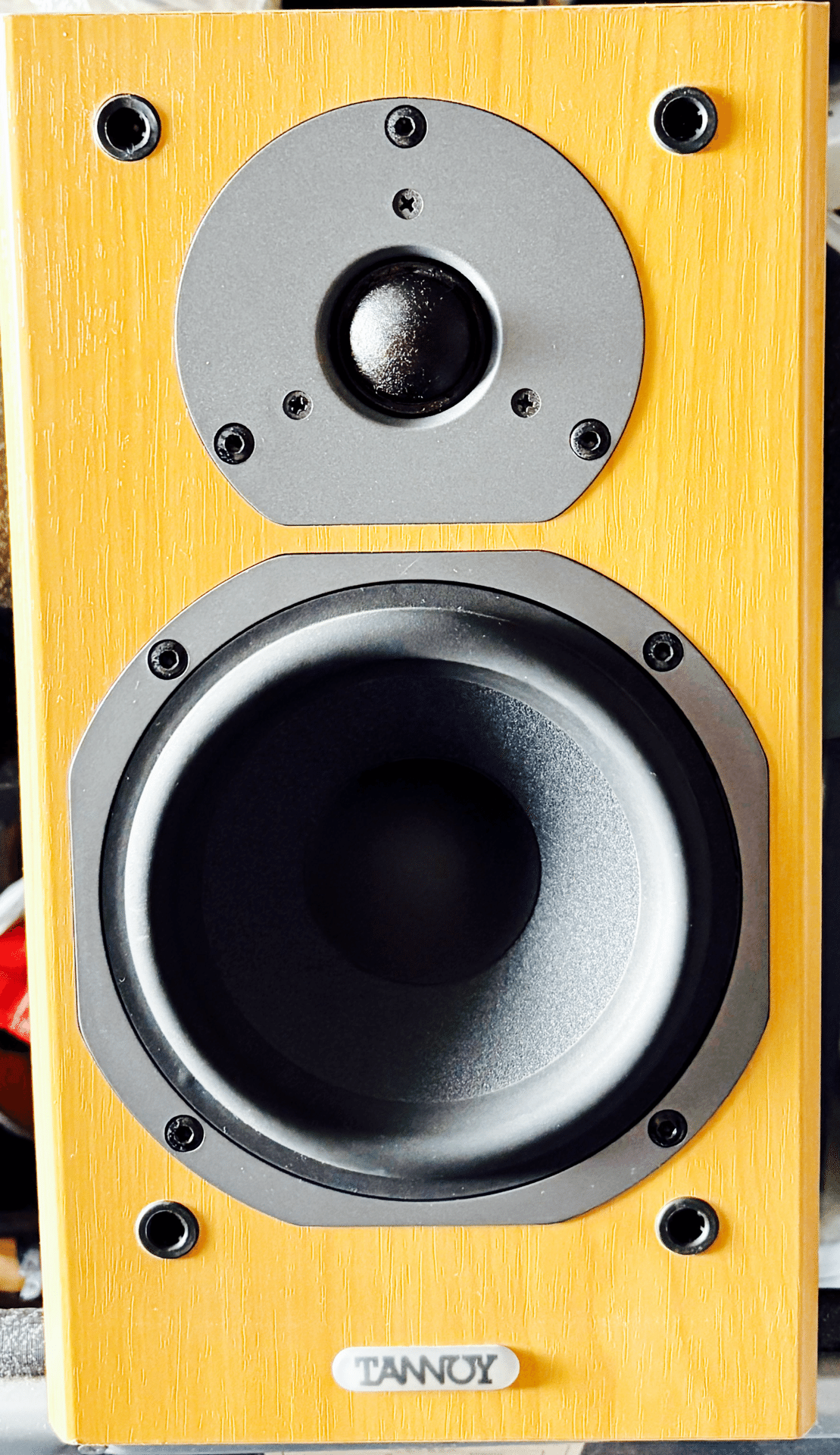 TANNOYらしさ」が詰まった1本──Mercury mX-1M、20年越しの再評価