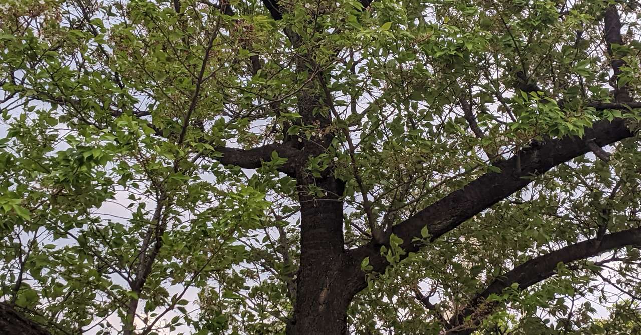 鷺沢萠さんが亡くなって 私はブックオフに行かなくなった 昭島瑛子 Note