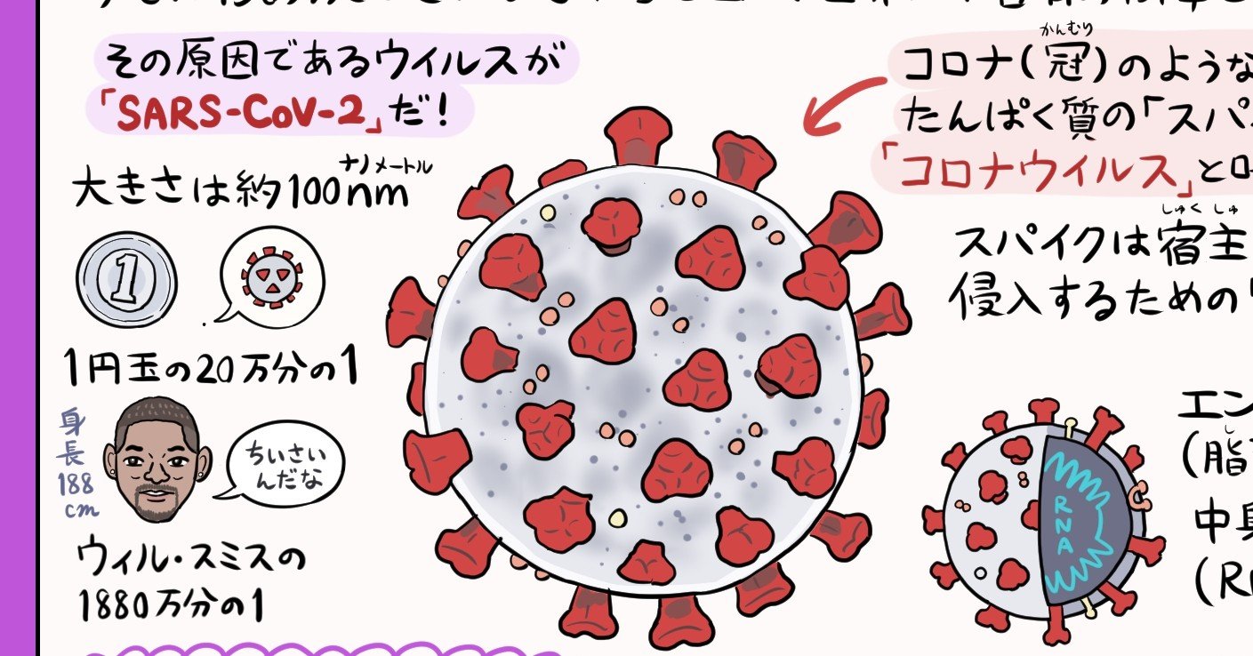 イラスト図解 これが新型コロナウイルスだ 4 28 Ver 1 1 更新 ぬまがさワタリ Note