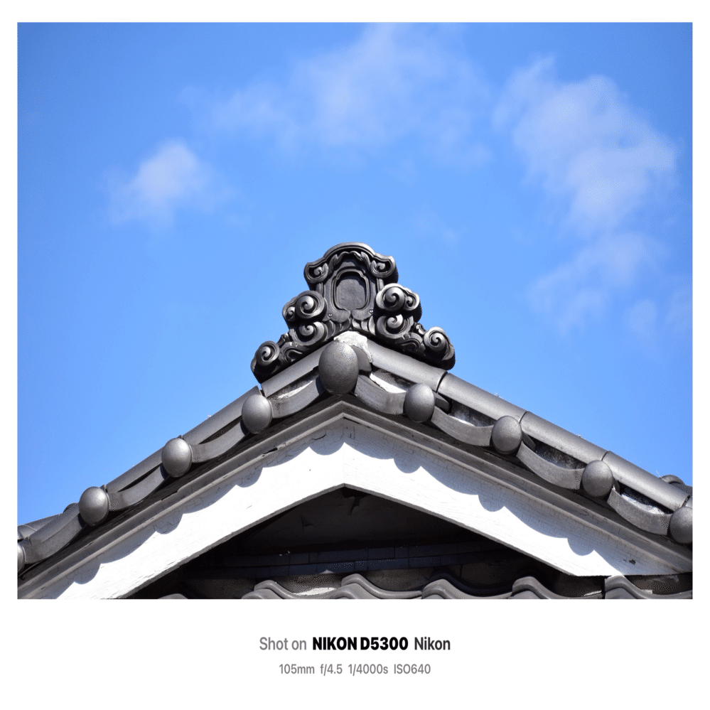 望遠ズームでスナップ⁉️｜SuzukenSambar